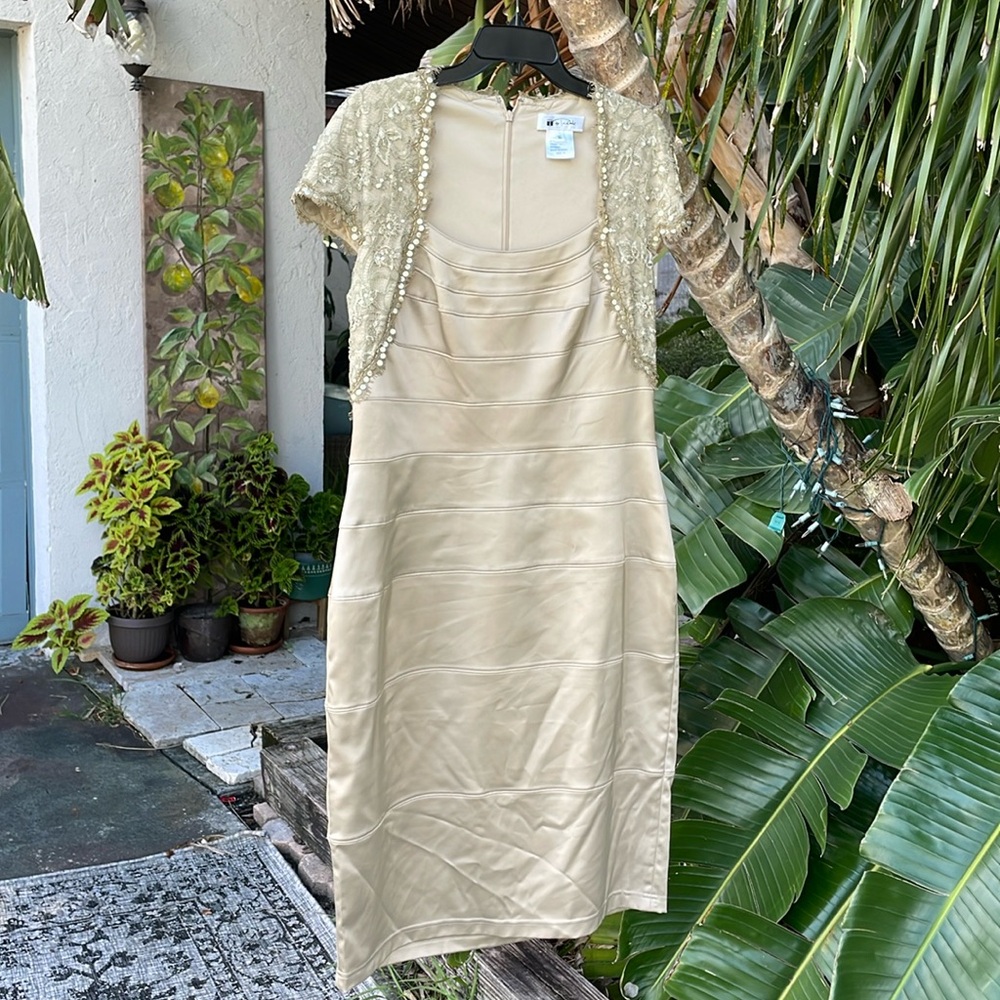Tadashi champagne lace trim sheath dress